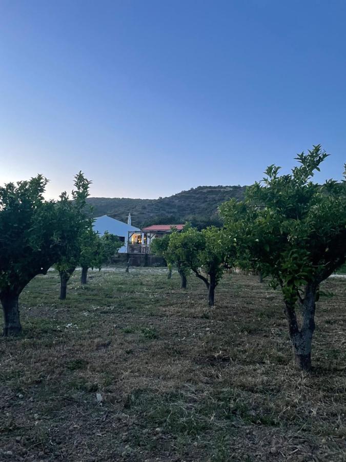 Quinta Da Boa Sorte Estoi Zewnętrze zdjęcie