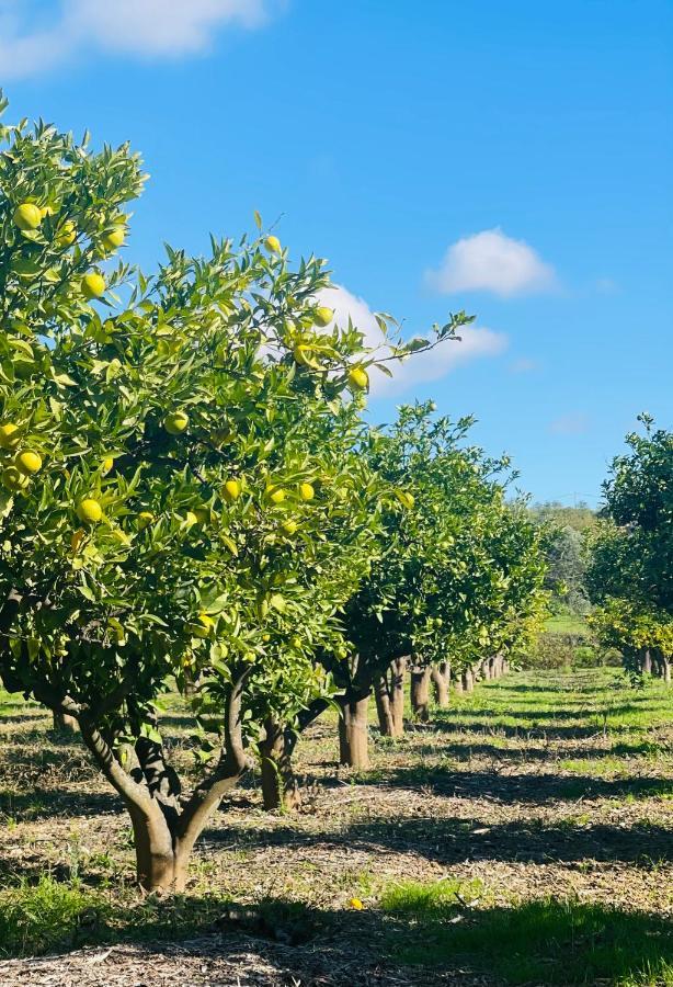 Quinta Da Boa Sorte Estoi Zewnętrze zdjęcie